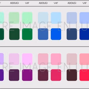 Nuancier couleurs simplifié FROID - Votre Image En Lumière