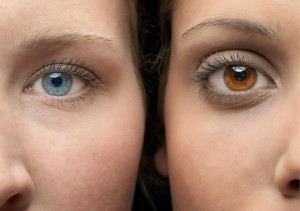 Couleur yeux froid/bleu et chaud/marron orangé