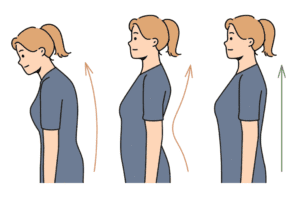 Illustration montrant trois postures de dos : courbé, creux et droit.