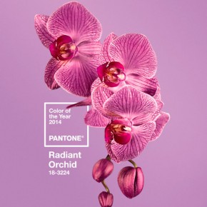 radiant orchid Pantone 2014