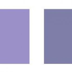 Teintes violettes Pantone pour hommes et femmes