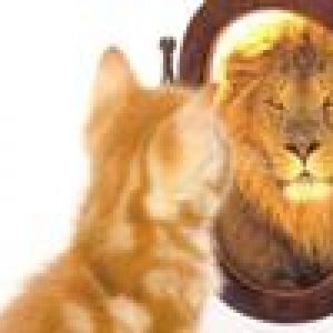 chat devant un miroir avec un reflet de lion